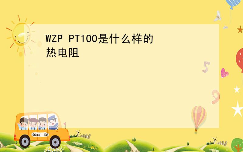 WZP PT100是什么样的热电阻