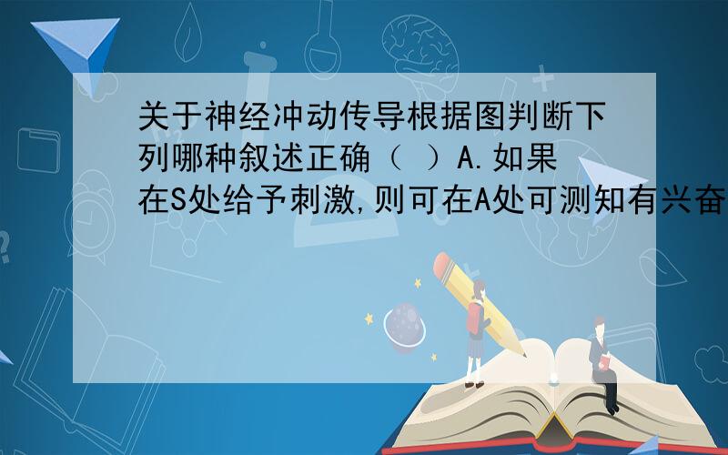 关于神经冲动传导根据图判断下列哪种叙述正确（ ）A.如果在S处给予刺激,则可在A处可测知有兴奋存在B.D 处的线粒体比B处的少C.A→B的传导速度大于D→E的传导速度D.兴奋在神经细胞之间通过