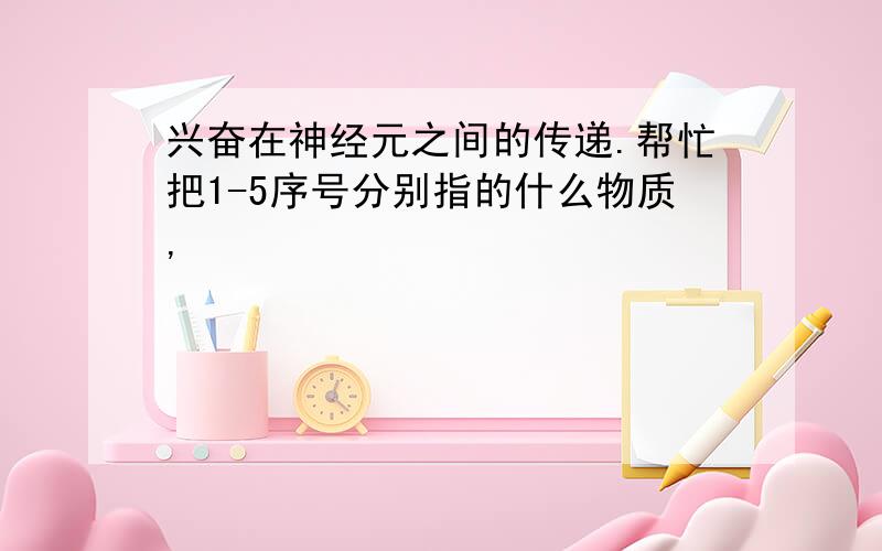 兴奋在神经元之间的传递.帮忙把1-5序号分别指的什么物质,