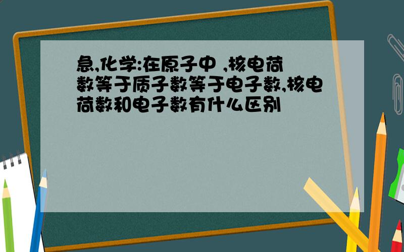 急,化学:在原子中 ,核电荷数等于质子数等于电子数,核电荷数和电子数有什么区别