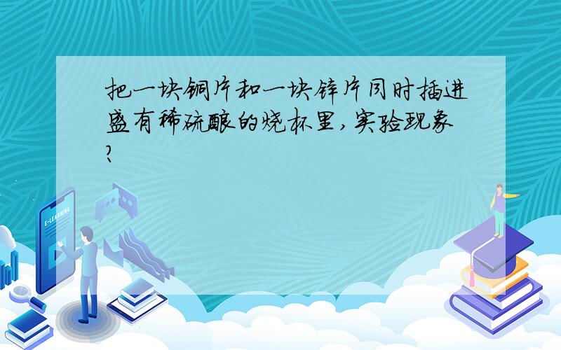 把一块铜片和一块锌片同时插进盛有稀硫酸的烧杯里,实验现象?