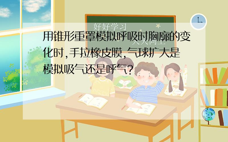 用锥形重罩模拟呼吸时胸廓的变化时,手拉橡皮膜,气球扩大是模拟吸气还是呼气?