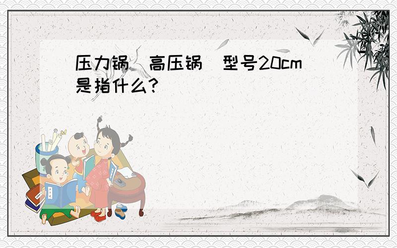 压力锅（高压锅）型号20cm是指什么?