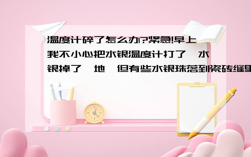 温度计碎了怎么办?紧急!早上我不小心把水银温度计打了,水银掉了一地,但有些水银珠落到瓷砖缝里了,弄不出来就没再管,刚听同学说汞会挥发,我晚上才能回家,那时估计汞全挥发了!家里白天