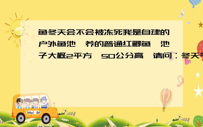 鱼冬天会不会被冻死我是自建的户外鱼池,养的普通红鲫鱼,池子大概2平方,50公分高,请问：冬天气温最低零下5—10度左右,我放30公分的水深,冬天会不会把鱼冻死?听说如果水不是完全结冰状态,