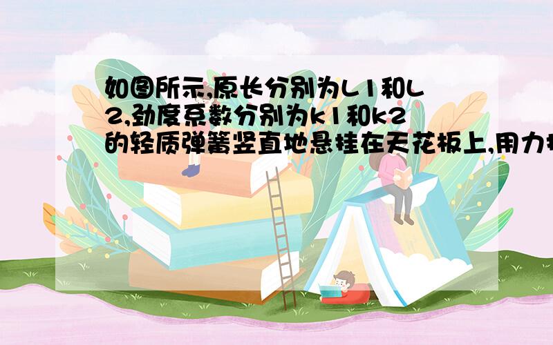 如图所示,原长分别为L1和L2,劲度系数分别为k1和k2的轻质弹簧竖直地悬挂在天花板上,用力托起后,为什么下面的弹簧必压缩,上面的弹簧必拉伸