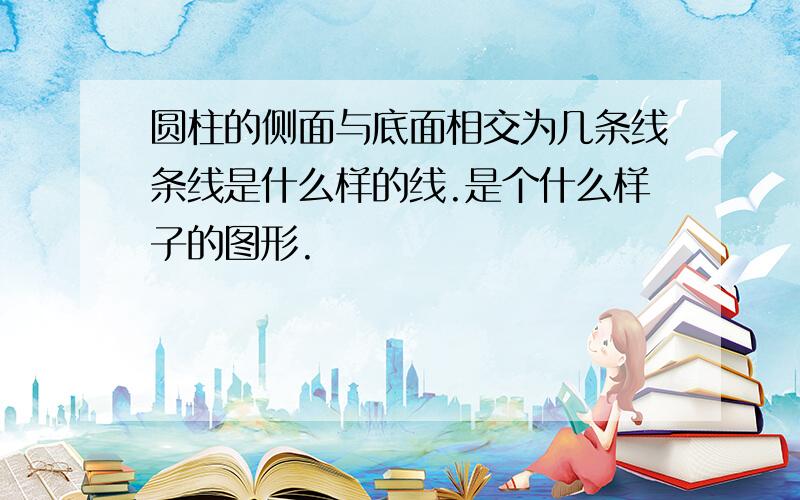 圆柱的侧面与底面相交为几条线条线是什么样的线.是个什么样子的图形.