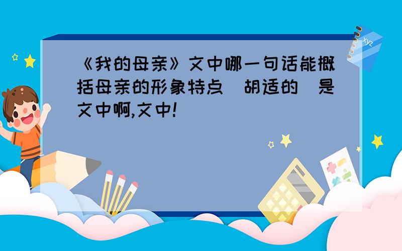 《我的母亲》文中哪一句话能概括母亲的形象特点（胡适的）是文中啊,文中!