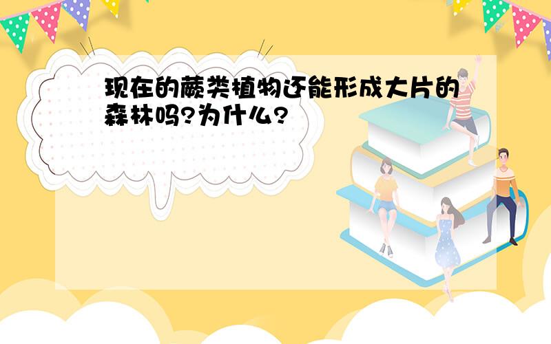 现在的蕨类植物还能形成大片的森林吗?为什么?