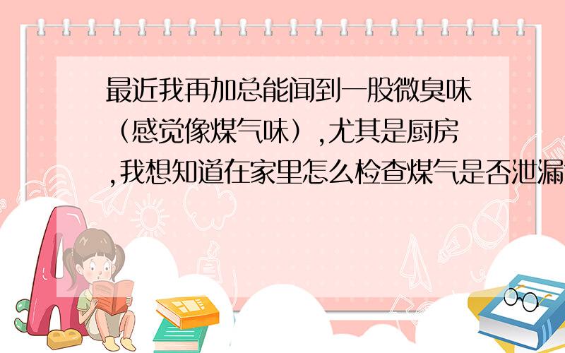 最近我再加总能闻到一股微臭味（感觉像煤气味）,尤其是厨房,我想知道在家里怎么检查煤气是否泄漏?有什么简单可行的办法