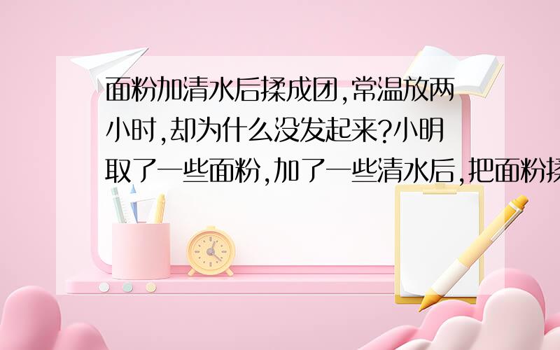 面粉加清水后揉成团,常温放两小时,却为什么没发起来?小明取了一些面粉,加了一些清水后,把面粉揉成了面团.常温下放置两小时后,面团却没有发起来.这是为什么?