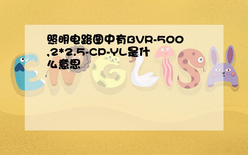 照明电路图中有BVR-500,2*2.5-CP-YL是什么意思