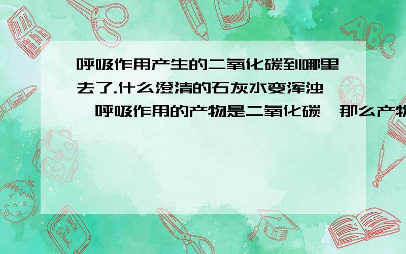 呼吸作用产生的二氧化碳到哪里去了.什么澄清的石灰水变浑浊,呼吸作用的产物是二氧化碳,那么产物到哪里去了?它分解有机物,萌发种子中的有机物最终变成了什么,在此过程还需要哪些物质