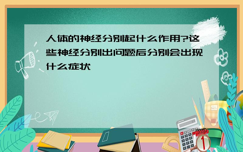 人体的神经分别起什么作用?这些神经分别出问题后分别会出现什么症状