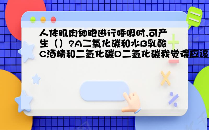 人体肌肉细胞进行呼吸时,可产生（）?A二氧化碳和水B乳酸C酒精和二氧化碳D二氧化碳我觉得应该选A,可是答案是C,究竟应该是什么快,坐等