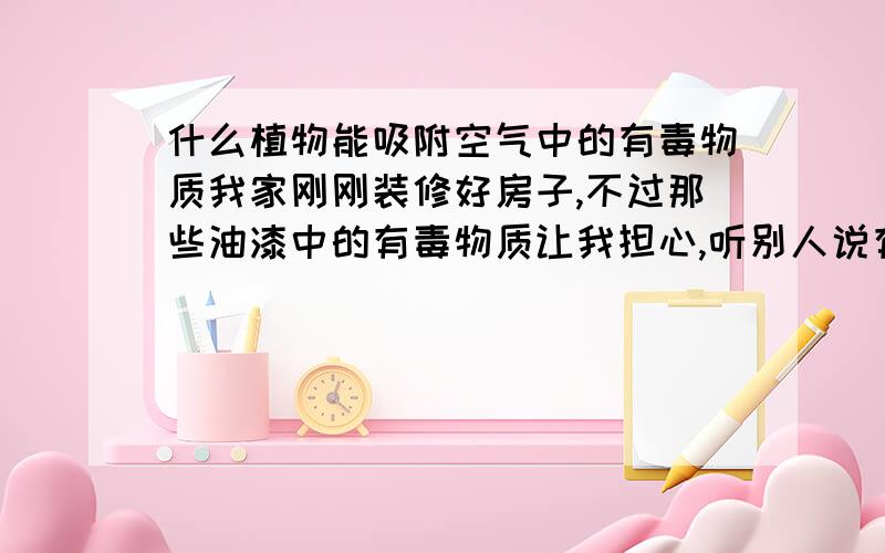 什么植物能吸附空气中的有毒物质我家刚刚装修好房子,不过那些油漆中的有毒物质让我担心,听别人说有些植物能吸附油漆中的有毒物质,有谁能告诉我哪些植物能吸附有毒物质,尽量是有美观