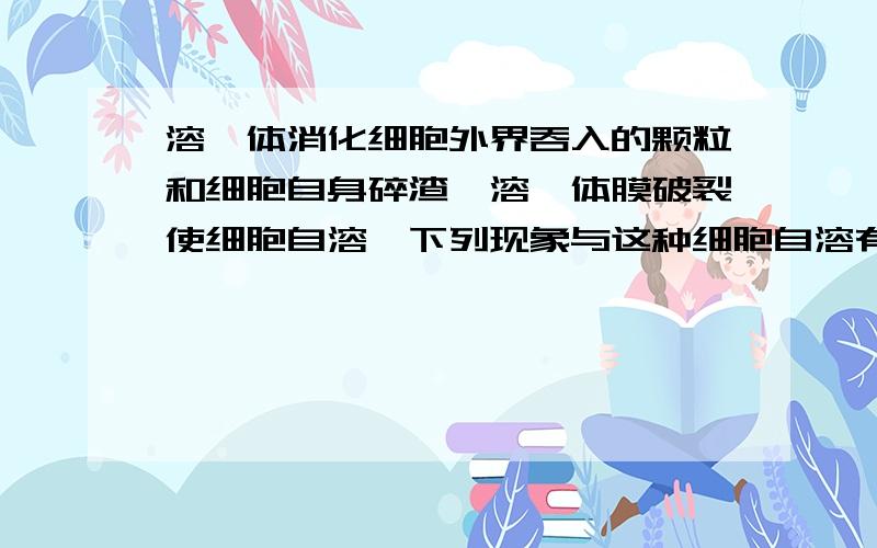 溶酶体消化细胞外界吞入的颗粒和细胞自身碎渣,溶酶体膜破裂使细胞自溶,下列现象与这种细胞自溶有关A．破碎的线粒体被吸收 B．蝌蚪发育成蛙尾部消失C．白细胞能消灭入侵的微生物 D．