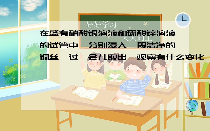 在盛有硝酸银溶液和硫酸锌溶液的试管中,分别浸入一段洁净的铜丝,过一会儿取出,观察有什么变化 在盛有硝酸银溶液和硫酸锌溶液的试管中,分别浸入一段洁净的铜丝,过一会儿取出,观察有什