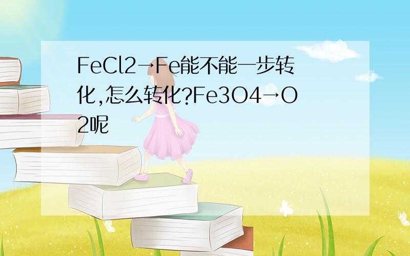 FeCl2→Fe能不能一步转化,怎么转化?Fe3O4→O2呢