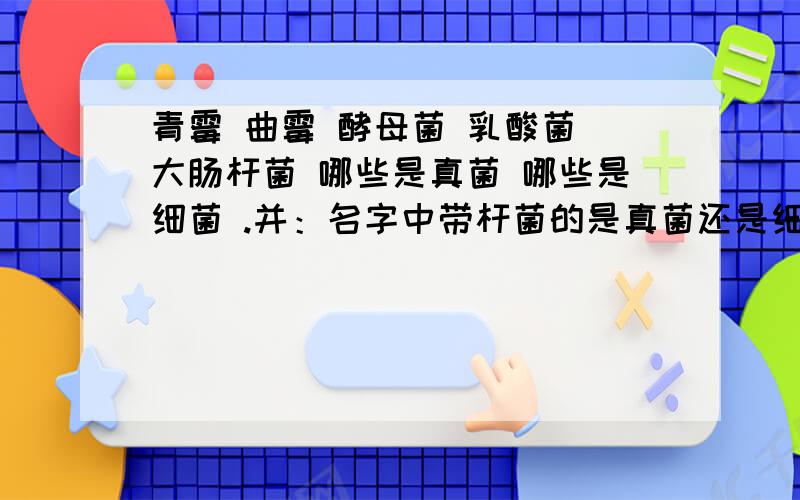 青霉 曲霉 酵母菌 乳酸菌 大肠杆菌 哪些是真菌 哪些是细菌 .并：名字中带杆菌的是真菌还是细菌.