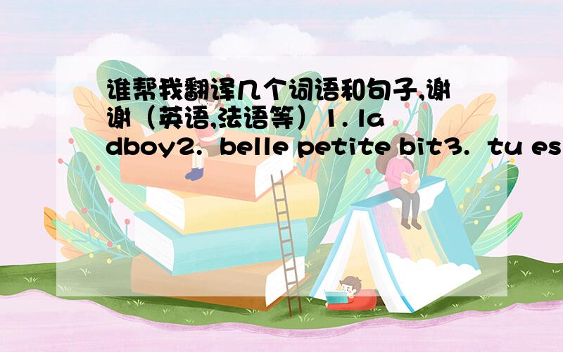 谁帮我翻译几个词语和句子,谢谢（英语,法语等）1. ladboy2.  belle petite bit3.  tu es cho4. slt5. can i see our ass6.ZENNDEII7.15 secondes restante et  la derniere lettre est E8.  fin de la question   trop tard !        la reponse e