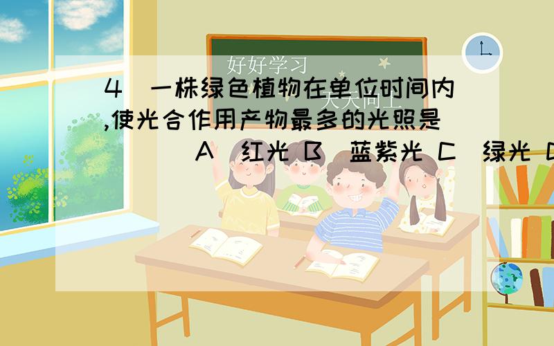 4．一株绿色植物在单位时间内,使光合作用产物最多的光照是 [ ] A．红光 B．蓝紫光 C．绿光 D．白光