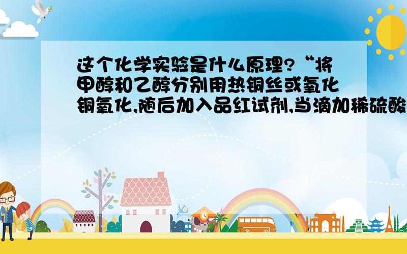 这个化学实验是什么原理?“将甲醇和乙醇分别用热铜丝或氧化铜氧化,随后加入品红试剂,当滴加稀硫酸溶液紫色不消失者为甲醇,紫色消失者为乙醇”以上实验是什么原理?