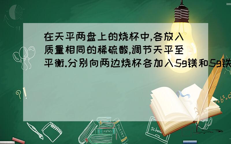 在天平两盘上的烧杯中,各放入质量相同的稀硫酸,调节天平至平衡.分别向两边烧杯各加入5g镁和5g铁,镁和铁全部反应而消失后,天平的指针A 偏向加铁的一边B 偏向加镁的一边C 仍停留在原来的