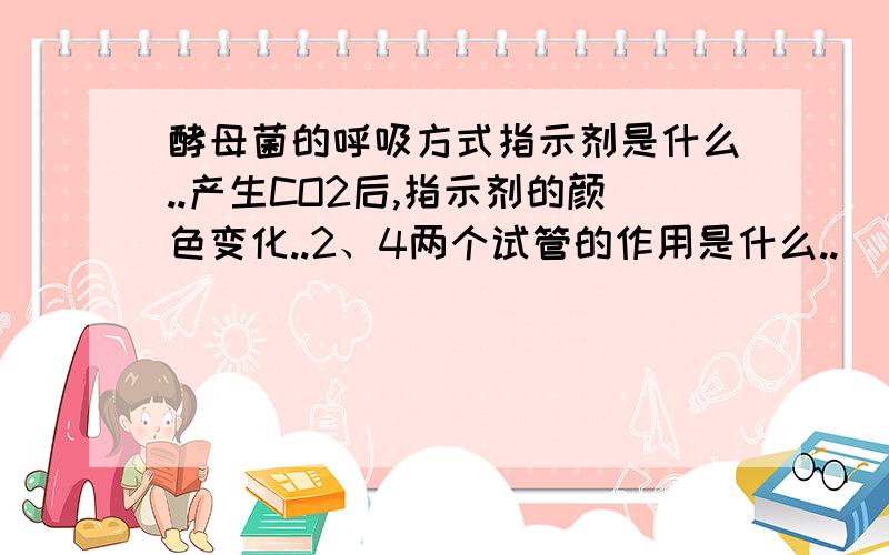 酵母菌的呼吸方式指示剂是什么..产生CO2后,指示剂的颜色变化..2、4两个试管的作用是什么..