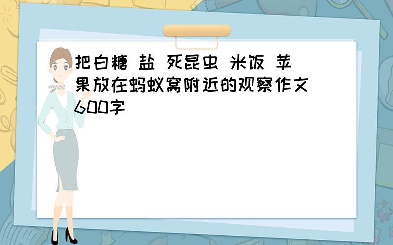 把白糖 盐 死昆虫 米饭 苹果放在蚂蚁窝附近的观察作文 600字