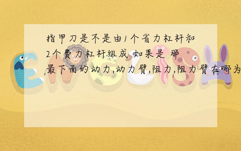 指甲刀是不是由1个省力杠杆和2个费力杠杆组成 如果是 那最下面的动力,动力臂,阻力,阻力臂在哪为什么,最好能带个图