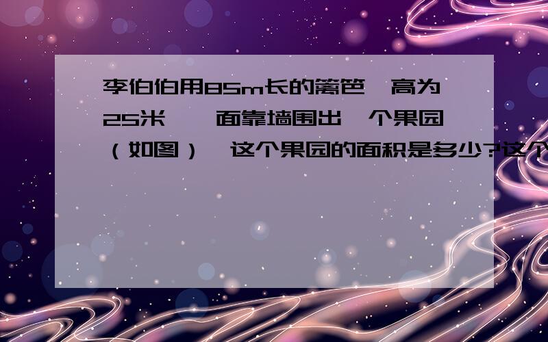 李伯伯用85m长的篱笆,高为25米,一面靠墙围出一个果园（如图）,这个果园的面积是多少?这个果园是梯形