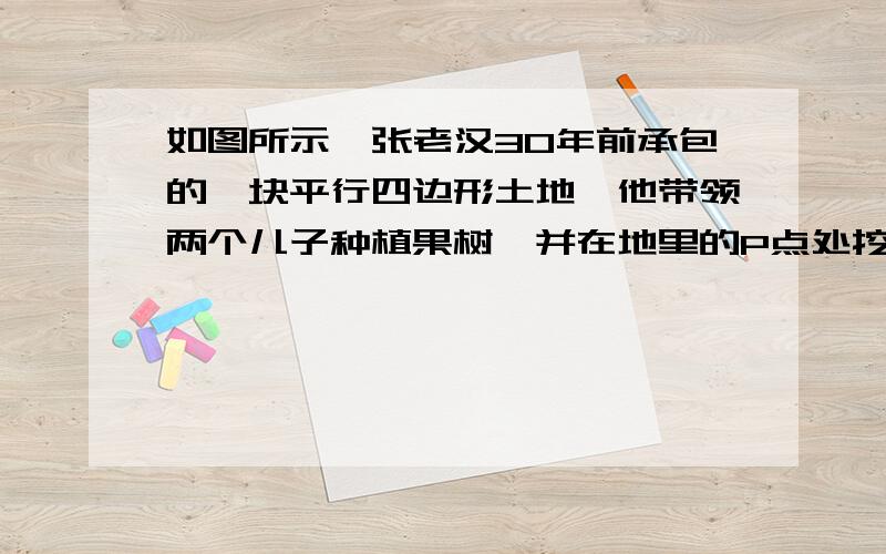 如图所示,张老汉30年前承包的一块平行四边形土地,他带领两个儿子种植果树,并在地里的P点处挖了口井用于浇灌果树.今年兄弟俩准备分家单干,为了方便每人分到的果园都可以用到水井里的