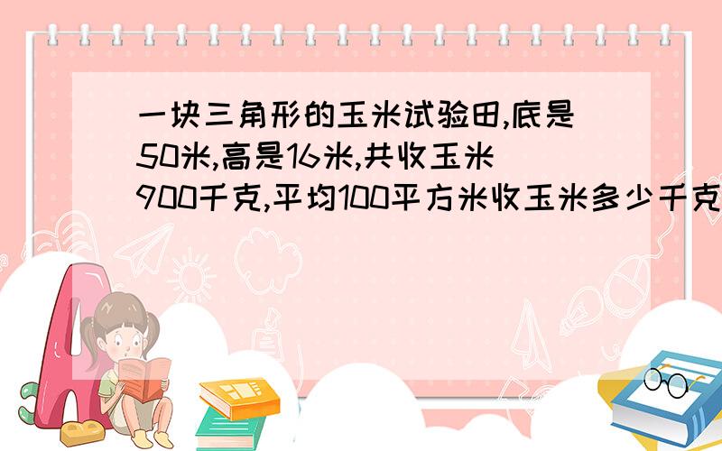 一块三角形的玉米试验田,底是50米,高是16米,共收玉米900千克,平均100平方米收玉米多少千克?