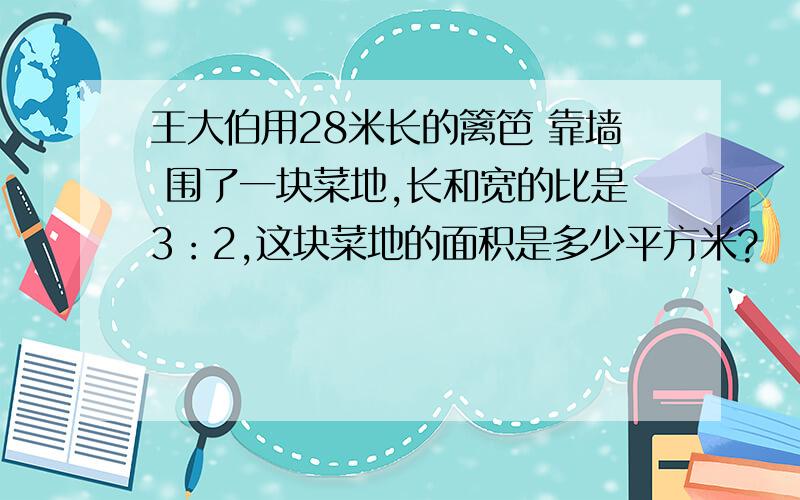 王大伯用28米长的篱笆 靠墙 围了一块菜地,长和宽的比是3：2,这块菜地的面积是多少平方米?