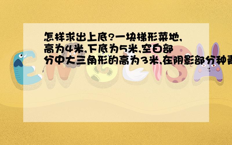 怎样求出上底?一块梯形菜地,高为4米,下底为5米,空白部分中大三角形的高为3米,在阴影部分种青怎样求出上底?一块梯形菜地,高为4米,下底为5米,空白部分中大三角形的高为3米,在阴影部分种青