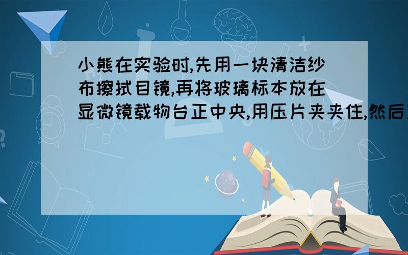 小熊在实验时,先用一块清洁纱布擦拭目镜,再将玻璃标本放在显微镜载物台正中央,用压片夹夹住,然后双眼侧视下,将物镜缓缓下降,接着,小熊用左眼朝目镜里观察,同时转动细准焦扭,缓缓上升