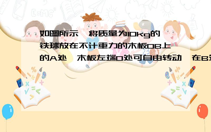 如图所示,将质量为10kg的铁球放在不计重力的木板OB上的A处,木板左端O处可自由转动,在B处用力F竖直向上抬如图所示,将质量为10kg的铁球放在不计重力的木板OB（不计重力）上的A处,木板左端O