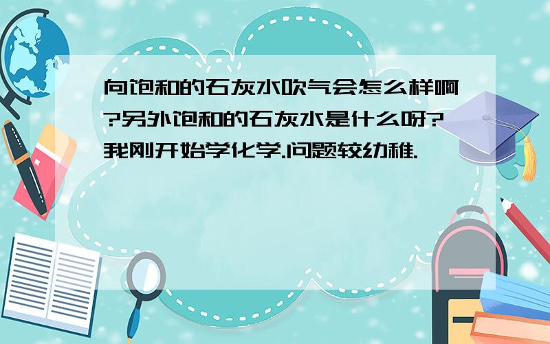 向饱和的石灰水吹气会怎么样啊?另外饱和的石灰水是什么呀?我刚开始学化学.问题较幼稚.