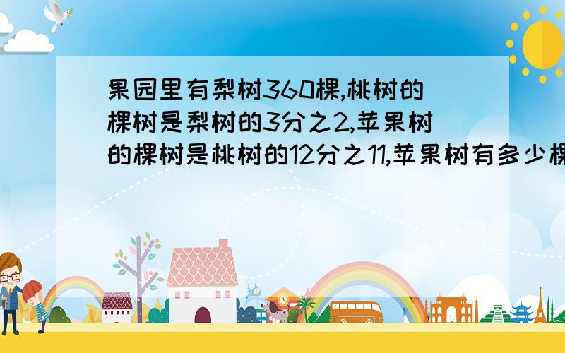 果园里有梨树360棵,桃树的棵树是梨树的3分之2,苹果树的棵树是桃树的12分之11,苹果树有多少棵?