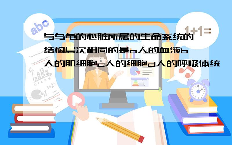 与乌龟的心脏所属的生命系统的结构层次相同的是a人的血液b人的肌细胞c人的细胞d人的呼吸体统