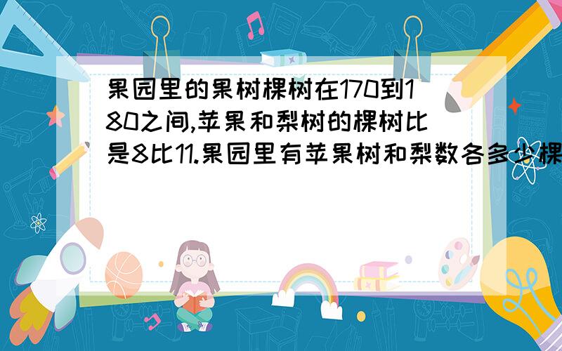 果园里的果树棵树在170到180之间,苹果和梨树的棵树比是8比11.果园里有苹果树和梨数各多少棵