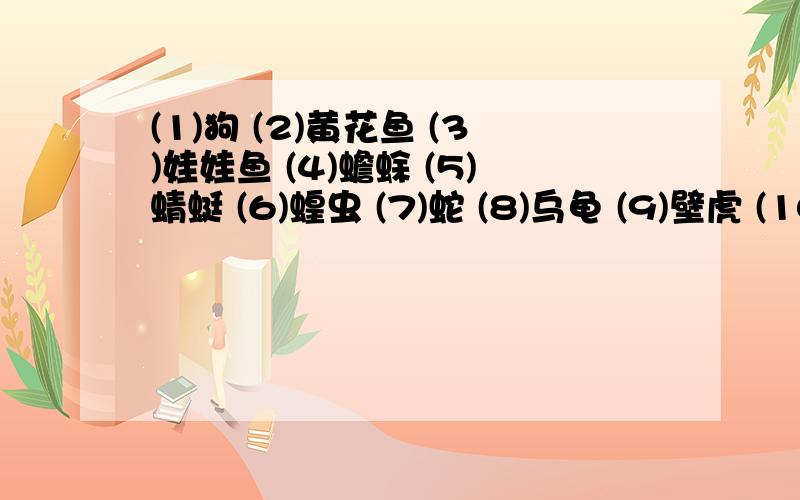 (1)狗 (2)黄花鱼 (3)娃娃鱼 (4)蟾蜍 (5)蜻蜓 (6)蝗虫 (7)蛇 (8)乌龟 (9)壁虎 (10)蚊子昆虫：\x05鸟：\x05哺乳动物：\x05鱼：\x05两栖动物：\x05爬行动物：