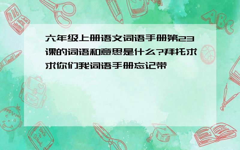 六年级上册语文词语手册第23课的词语和意思是什么?拜托求求你们我词语手册忘记带