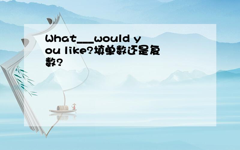 What___would you like?填单数还是复数?