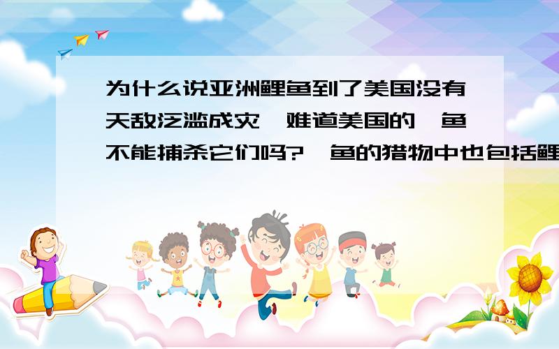 为什么说亚洲鲤鱼到了美国没有天敌泛滥成灾,难道美国的鲶鱼不能捕杀它们吗?鲶鱼的猎物中也包括鲤鱼啊