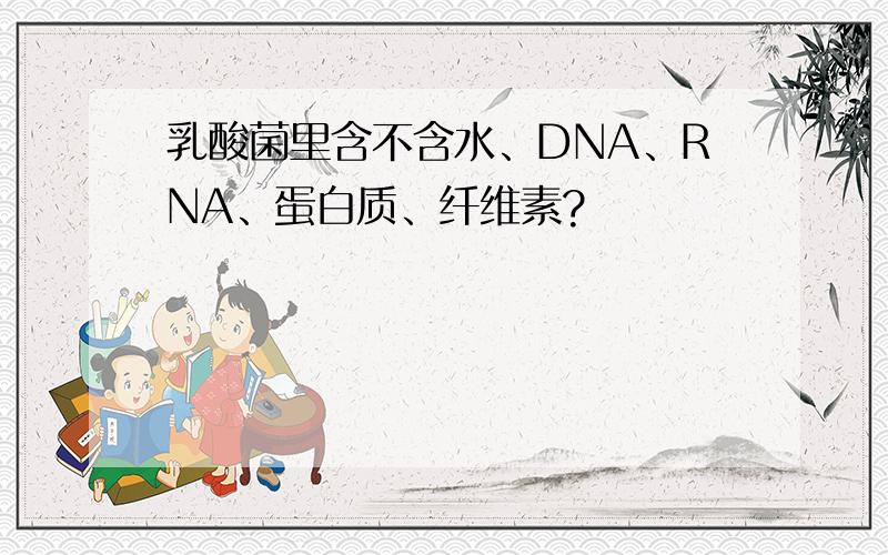 乳酸菌里含不含水、DNA、RNA、蛋白质、纤维素?