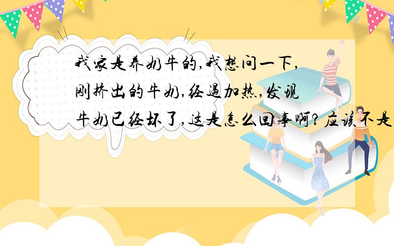 我家是养奶牛的,我想问一下,刚挤出的牛奶,经过加热,发现牛奶已经坏了,这是怎么回事啊?应该不是,我家的挤奶时间几乎是固定的,相差不到一小时分别位4点、13点、20点这三个时间.我想问一