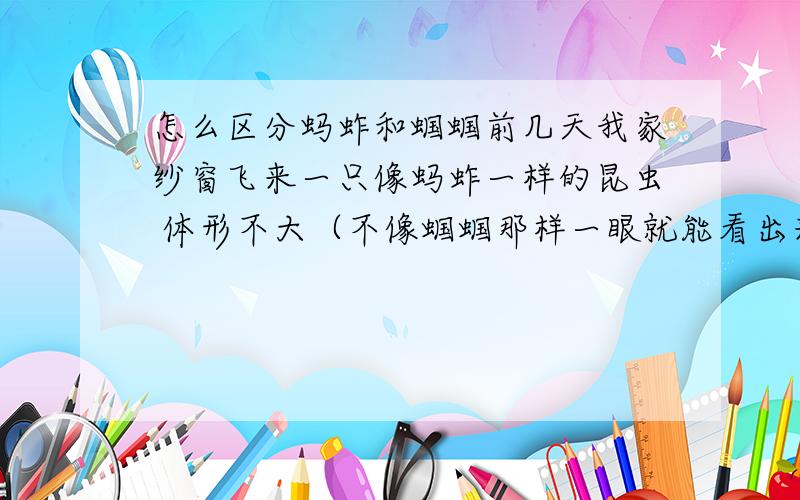 怎么区分蚂蚱和蝈蝈前几天我家纱窗飞来一只像蚂蚱一样的昆虫 体形不大（不像蝈蝈那样一眼就能看出来）身体大概4厘米左右（算翅膀 不算触角）全身是嫩绿色的 没有杂色 翅尖稍暗 触角