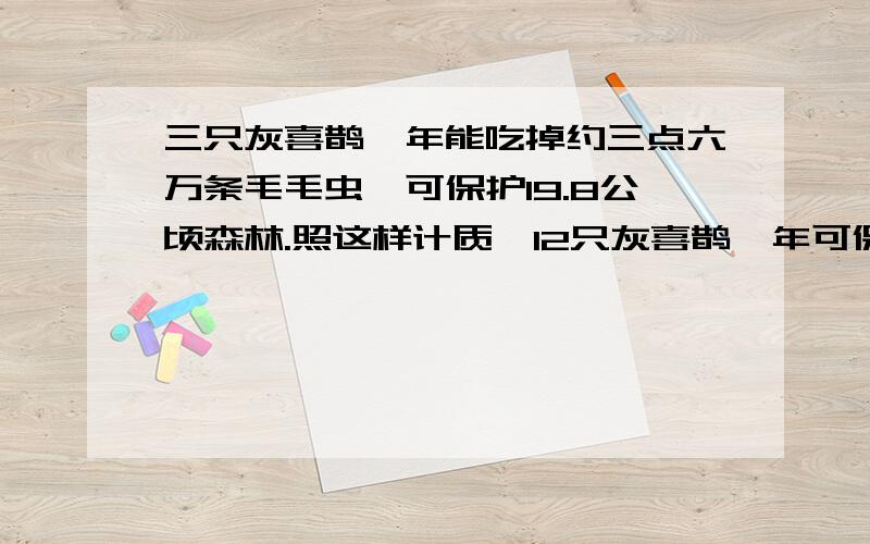 三只灰喜鹊一年能吃掉约三点六万条毛毛虫,可保护19.8公顷森林.照这样计质,12只灰喜鹊一年可保护多少公顷森林?